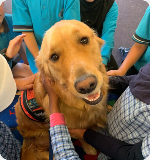 Animal Therapy PAWS - Social Inclusion